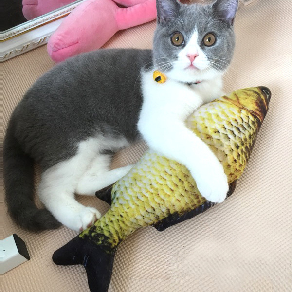 猫玩具鱼猫薄荷鱼逗猫棒磨牙玩具宠物毛绒仿真抱枕猫咪用品鱼玩具|msdalam kategori haiwan peliharaan/makanan haiwan dan bekalan, Cat/Mainan anjing, kucing kayu lucu - dari Buy2taobao.com untuk memberikan perkhidmatan ejen Taobao profesional membeli