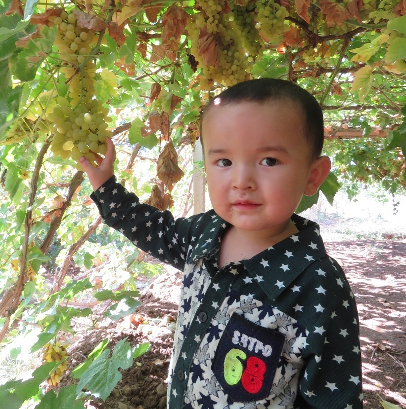 新品新疆葡萄干吐鲁番特产无籽超大葡萄干提子孕妇零食非免洗包邮|msdalam kategori makanan ringan/Nuts/Specialty, Manisan/jujube/Plum/buah-buahan kering, kismis - dari Buy2taobao.com untuk memberikan perkhidmatan ejen Taobao profesional membeli