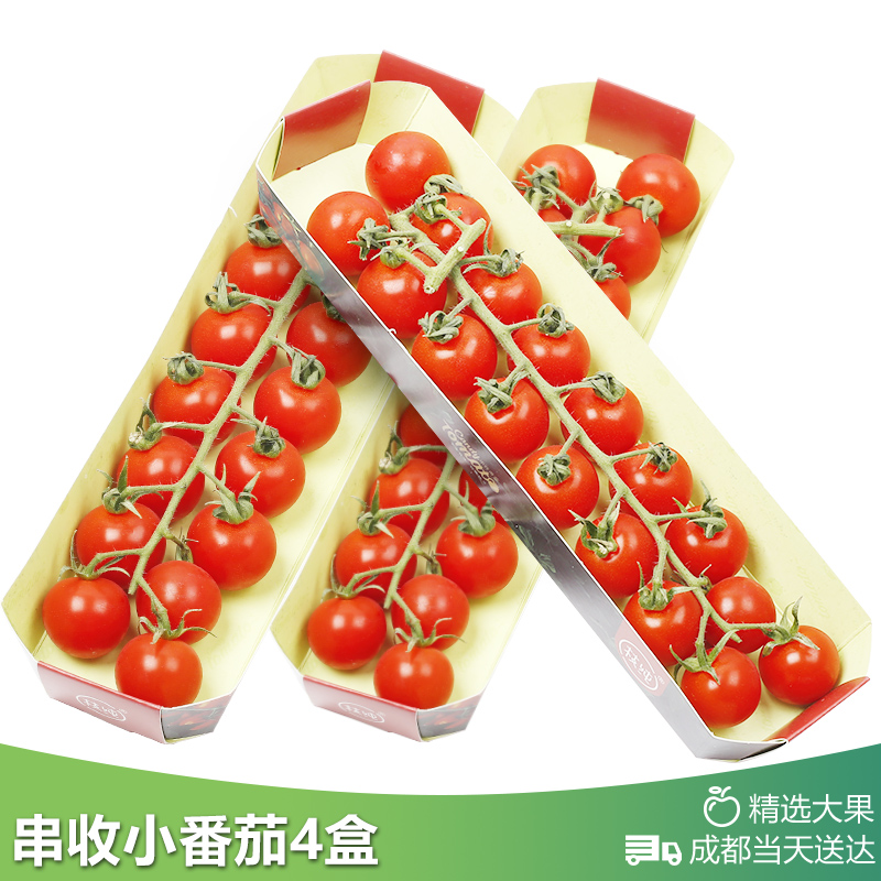 Chengdu arrives on the same day Sugar treasure Gansu Tomatoes 4 boxes *210g fresh fruit Sweet and sour gules Tomatoesin the Aquatic meat/Fresh fruits and vegetables/Cooked , Fresh fruit , Other category - from Buy2taobao.com to provide professional Taobao agent buy service