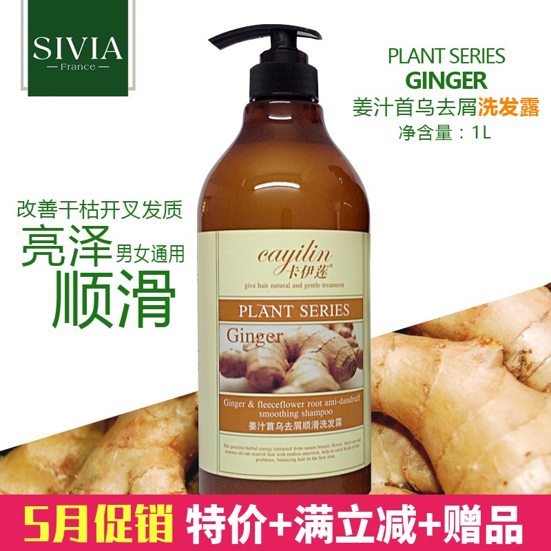 Kayes lotus Ginger Radix Dandruff Smooth shampoo Dew 1kg refreshing Oil control Robust Hair Shampoo quality goodsin the Care cleaners/Sanitary napkins/Paper/Aromatherapy , Shampoo bath/Personal cleanliness , Hair clean/Nurse/Modeling , Shampoo category - from Buy2taobao.com to provide professional Taobao agent buy service