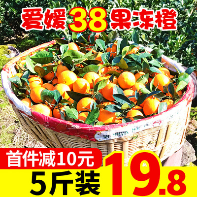 四川爱媛38号果冻橙5斤 橙子水果新鲜当季整箱现摘10甜橙柑橘桔子