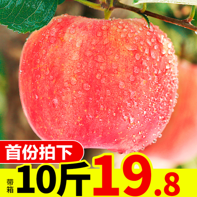 苹果水果新鲜当季带箱10斤批应季脆甜陕西红富士冰糖心丑嘎啦整箱