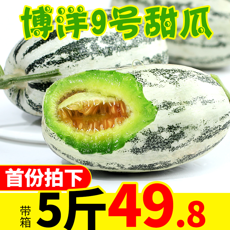 山东香瓜博洋9号甜瓜新鲜当季水果羊角蜜哈密瓜应季脆甜带箱5斤装在类目 水产肉类/新鲜蔬果/熟食, 新鲜水果, 其它中 - 来自Buy2taobao.com提供专业的淘宝代购服务