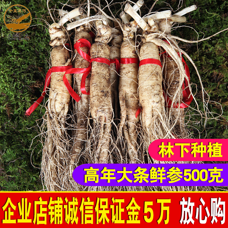 领卷88元500克带土鲜人参 东北长白山鲜人参非野山参人参煲汤泡酒在类目 传统滋补营养品, 参类滋补品, 人参/园参中 - 来自Buy2taobao.com提供专业的淘宝代购服务