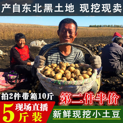 东北新鲜小土豆5斤农家自种蔬菜东北黄皮黄心土豆包邮马铃薯洋芋
