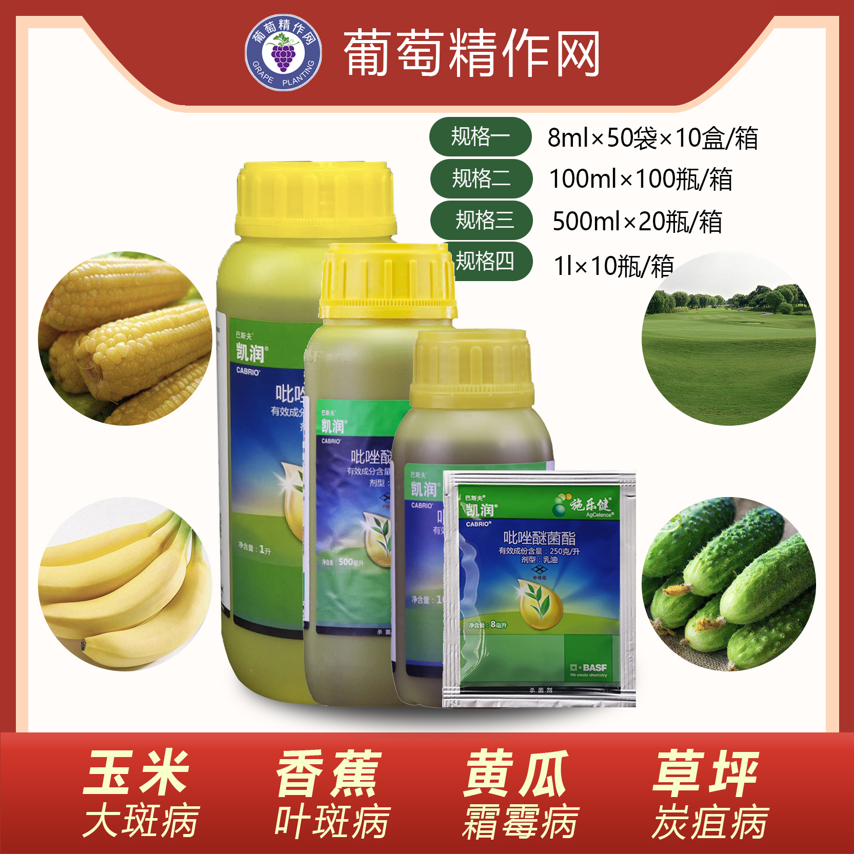 Germany BASF Kai Run Pyrazole anthrax Leaf spot Powdery mildew grape downy mildew Pesticide bactericidein the Agricultural goods , Pesticide , Antiseptic category - from Buy2taobao.com to provide professional Taobao agent buy service