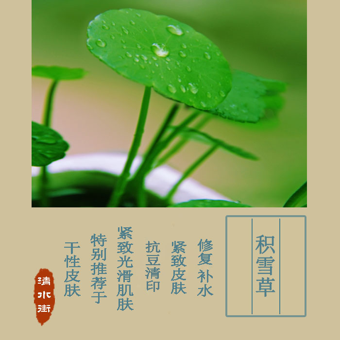 限量 积雪草食用级饱和纯露保湿补水 含精油在类目 美容护肤/美体/精油, 精油芳疗, 纯露/花水中 - 来自Buy2taobao.com提供专业的淘宝代购服务
