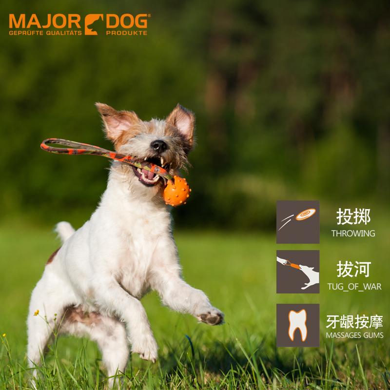 包郵 德國MAJOR DOG投擲球天然橡膠互動耐咬寵物玩具狗狗尋回銜取在類目 寵物/寵物食品及用品, 貓/狗玩具, 橡膠球/球形玩具中 - 來自Buy2taobao.com提供專業的淘寶代購服務
