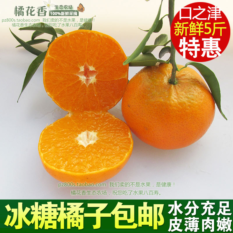口之津现摘5斤包邮新鲜天自然健康水果褚橙子桔子橘子丑柑冰糖橘在类目 水产肉类/新鲜蔬果/熟食, 新鲜水果, 桔子中 - 来自Buy2taobao.com提供专业的淘宝代购服务
