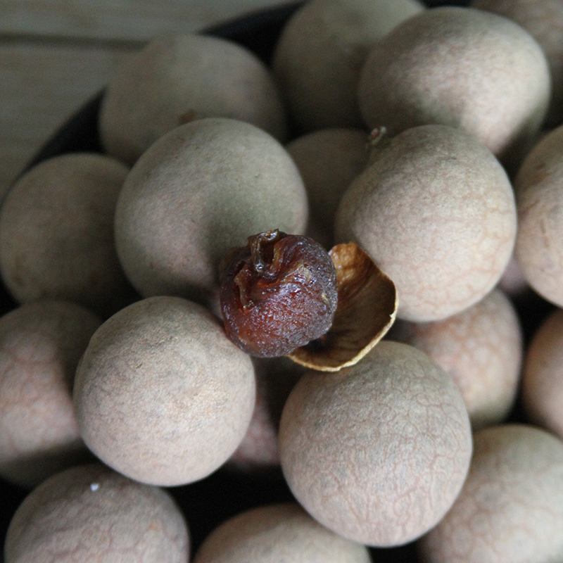 new goods Longan dried food Putian Super bulk Dried longan Farm Production 500gin the Agri rice/Dried foods/Condiment , Dried foods/Meat Dry , Dry/Native , Dried longan/Longan category - from Buy2taobao.com to provide professional Taobao agent buy service