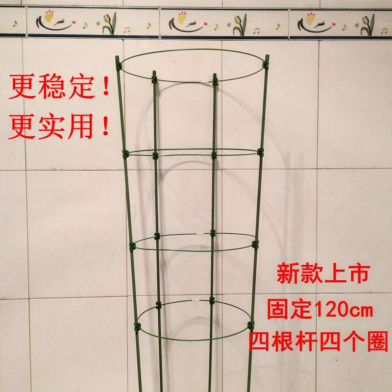 牵牛花攀爬园艺鸟笼小花支撑蔬菜造型花苗架花花草支架攀藤爬藤栏|msdalam kategori penghantaran bunga/bunga simulasi/tumbuhan berkebun, Gardening Supplies, Peralatan Perkebunan lain - dari Buy2taobao.com untuk memberikan perkhidmatan ejen Taobao profesional membeli