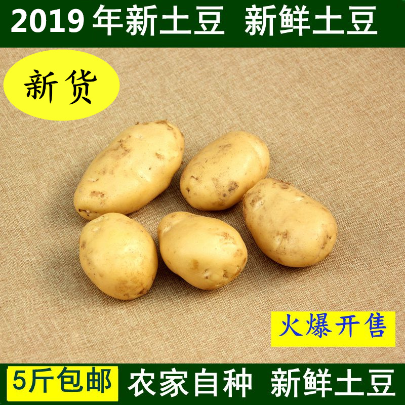 19年新鲜土豆农家自种黄心土豆非转基因洋芋马铃薯现挖绿色蔬菜在类目 水产肉类/新鲜蔬果/熟食, 新鲜蔬菜/蔬菜制品, 新鲜蔬菜, 土豆中 - 来自Buy2taobao.com提供专业的淘宝代购服务