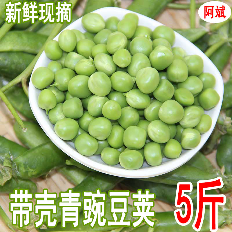 云南新鲜现摘青豌豆5斤 农家自种带壳豌豆荚当季蔬菜豆类小孩辅食在类目 水产肉类/新鲜蔬果/熟食, 新鲜蔬菜/蔬菜制品, 新鲜蔬菜, 其它中 - 来自Buy2taobao.com提供专业的淘宝代购服务