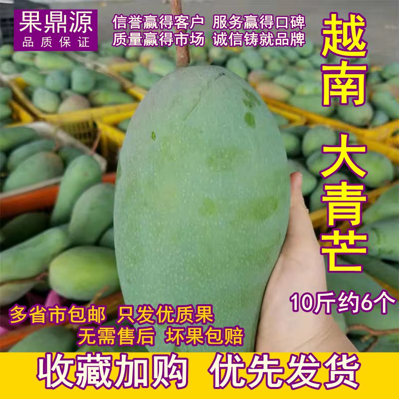 10斤越南大青芒果 新鲜水果 薄核甜黄肉熟大金煌青皮芒果现货进口在类目 水产肉类/新鲜蔬果/熟食, 新鲜水果, 芒果中 - 来自Buy2taobao.com提供专业的淘宝代购服务