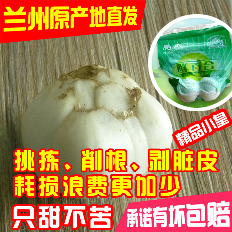 鲜百合500g 兰州百合新鲜百合甘肃土特产 农家食用 精品耗损少