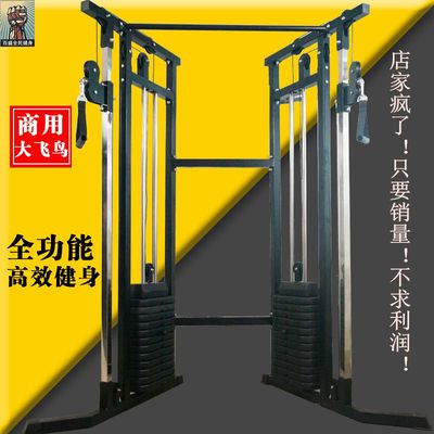 百盛健身房商用小飞鸟 大飞鸟综合力量型训练器 健身器材龙门架