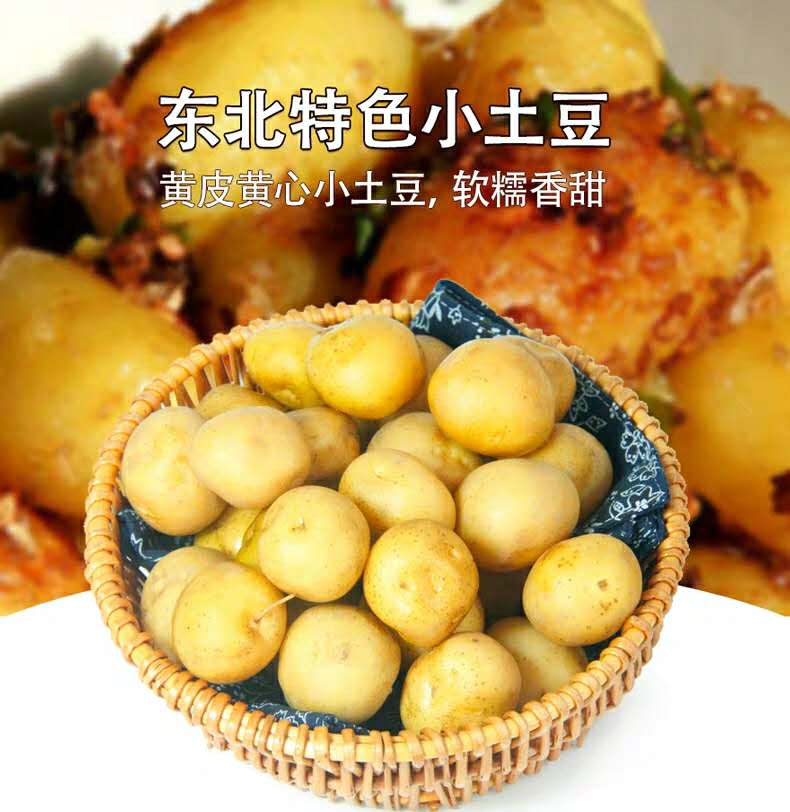 5斤包邮东北特产小土豆丹东马铃薯新鲜蔬菜新鲜土豆子迷你小土豆在类目 水产肉类/新鲜蔬果/熟食, 新鲜蔬菜/蔬菜制品, 新鲜蔬菜, 土豆中 - 来自Buy2taobao.com提供专业的淘宝代购服务