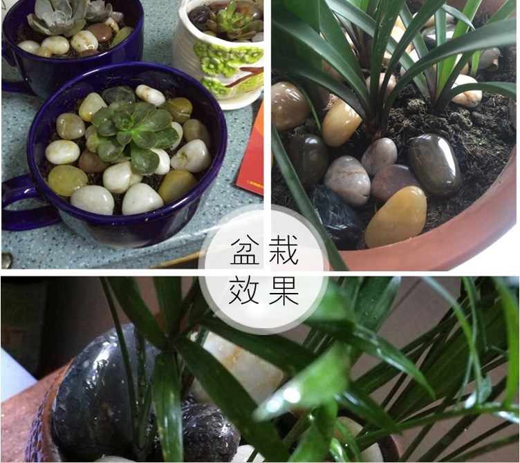 家装彩色雨花石天然雨花石 五彩不规则五彩石头 彩色小石子布景|ruв категории доставка цветов/цветок моделирования/растения садоводства, садовых принадлежностей, других садовых принадлежностей - от Buy2taobao.com для оказания профессиональной услуги покупки агента Taobao