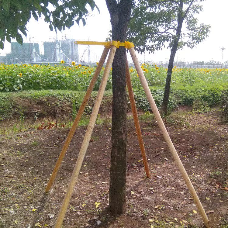 园林绿化工程松木树木支撑支架固定器塑料套杯扎带绑带子|ruв категории доставка цветов/цветок моделирования/растения садоводства, садовых принадлежностей, других садовых принадлежностей - от Buy2taobao.com для оказания профессиональной услуги покупки агента Taobao