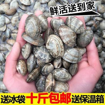 新鮮花甲/野生無沙雜色花蛤/蚬子肉幹/鮮活海鮮水産西安順豐包郵在類目 水產肉類/新鮮蔬果/熟食, 海鮮/水產品/製品, 貝類, 貝類製品中 - 來自Buy2taobao.com提供專業的淘寶代購服務