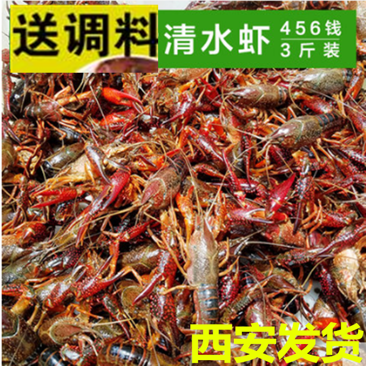 野生清水西安小龙虾3斤实惠装 麻辣小龙虾送调料包冰袋泡沫箱发货|msdalam kategori daging perikanan/Buah-buahan segar dan sayur-sayuran/dimasak, makanan laut/produk akuatik/produk, udang, udang Produk - dari Buy2taobao.com untuk memberikan perkhidmatan ejen Taobao profesional membeli