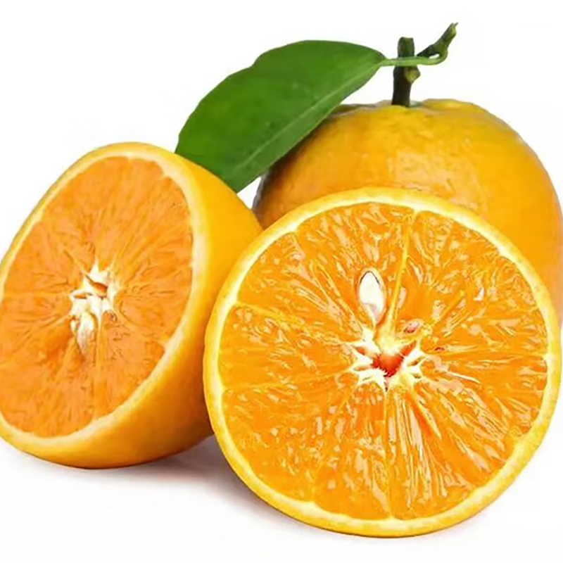 Jiangyong Valencia Boutique 5 Now pick Now send fresh fruit Orange pregnant woman snacks Navelin the Aquatic meat/Fresh fruits and vegetables/Cooked , Fresh fruit , Orange category - from Buy2taobao.com to provide professional Taobao agent buy service