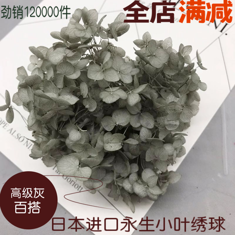永生花diy材料日本进口TOKA永生小叶灰色绣球手工制作耳环饰品在类目 家居饰品, 花瓶/花器/仿真花/仿真饰品, 干花/花瓣/干花包/干树枝中 - 来自Buy2taobao.com提供专业的淘宝代购服务