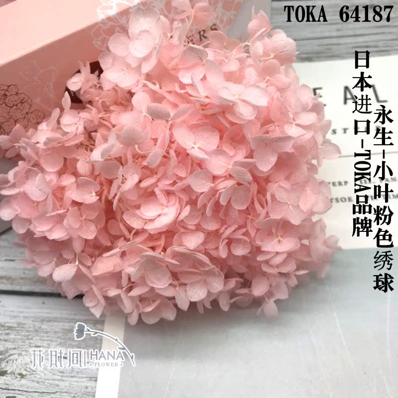 永生花diy材料小叶绣球进口日本TOKA干花保鲜花手工制作礼盒配材在类目 鲜花速递/花卉仿真/绿植园艺, 永生花/干花, 永生花中 - 来自Buy2taobao.com提供专业的淘宝代购服务
