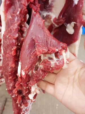 农家散养带皮羊肉羊排羊腿新鲜生羊肉当天现杀限时促销