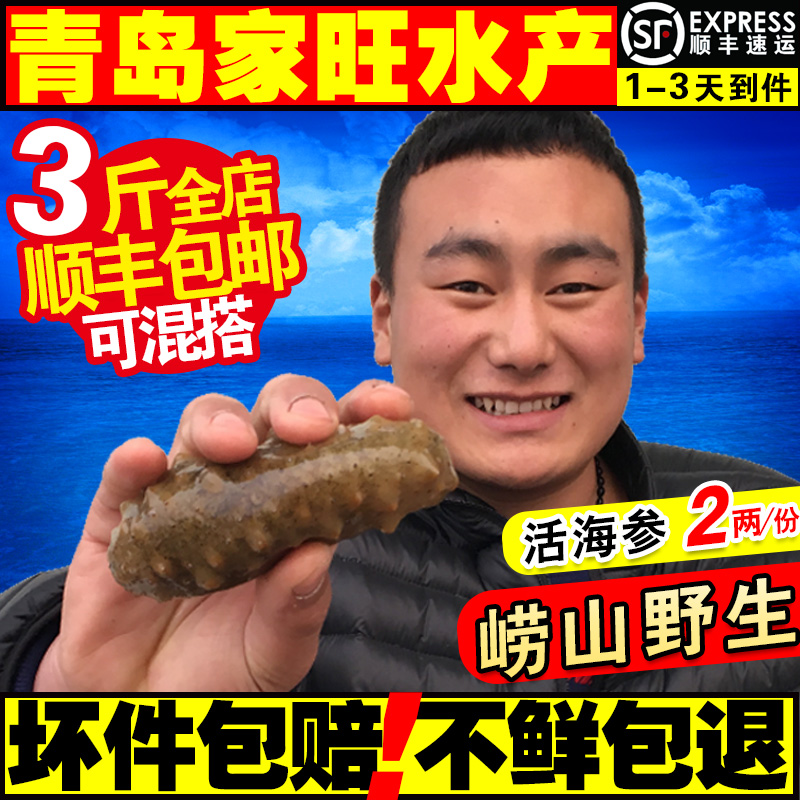 海参野生海参海参即食野生刺参鲜海参鲜活海参野海参青岛海鲜包邮在类目 水产肉类/新鲜蔬果/熟食, 海鲜/水产品/制品, 海参中 - 来自Buy2taobao.com提供专业的淘宝代购服务