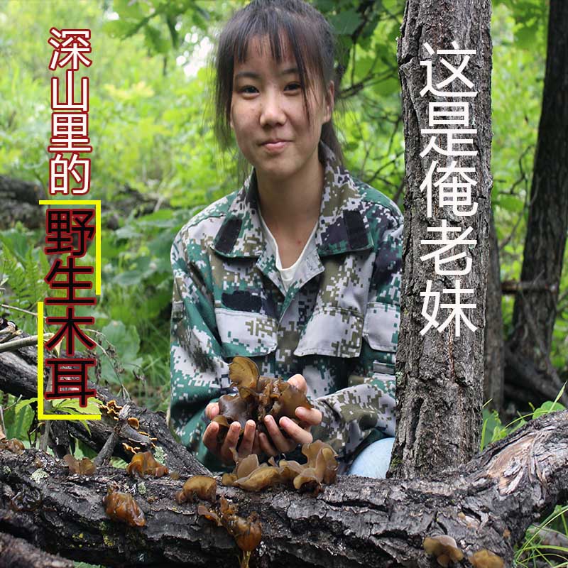 wild Black fungus Pure natural Northeast Specialty Black fungus dried food 500g wild Super Autumn fungusin the Agri rice/Dried foods/Condiment , Dried foods/Meat Dry , Dry/Native , Black fungus category - from Buy2taobao.com to provide professional Taobao agent buy service