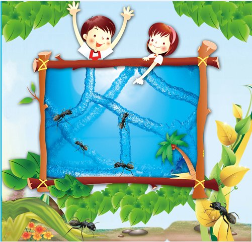 学生礼物S型蚂蚁工坊 科教玩具 蚂蚁窝 乐园牧场 宠物蚂蚁屋 蚁后在类目 宠物/宠物食品及用品, 爬虫/鸣虫及其用品, 蚂蚁工坊中 - 来自Buy2taobao.com提供专业的淘宝代购服务