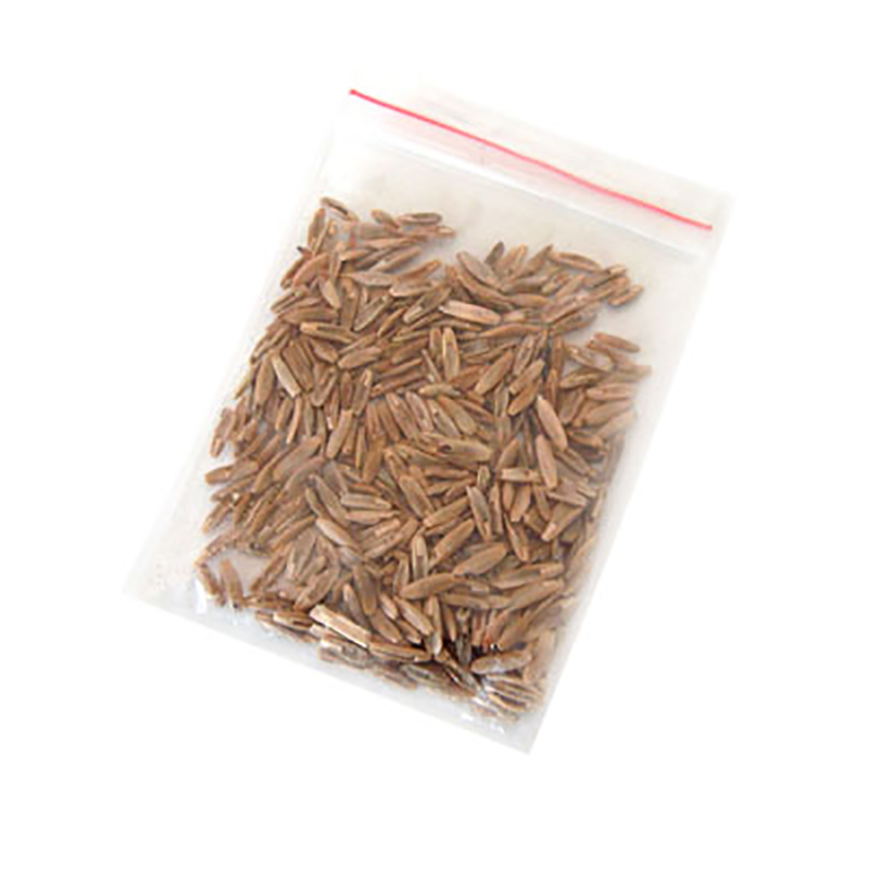 蚂蚁工坊专用种子一份 蚂蚁家园 蚂蚁别墅 蚂蚁庄园专用花草种子|msdalam kategori haiwan peliharaan/makanan haiwan dan bekalan, Reptilia/Serangga dan bekalan Ming, semut Mania - dari Buy2taobao.com untuk memberikan perkhidmatan ejen Taobao profesional membeli