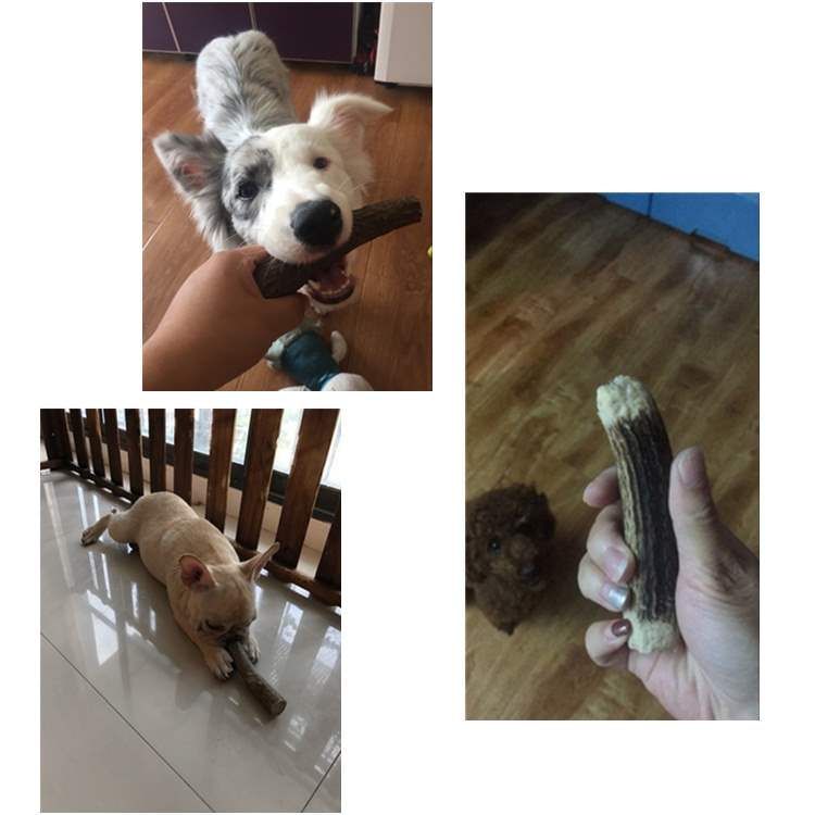 Dogs Antlers Molar stick Dog bones Golden Retriever France bucket Corgi Puppies Puppy Toys Calcium supplement snacksin the Pet/Pet food and supplies , Dog snacks category - from Buy2taobao.com to provide professional Taobao agent buy service