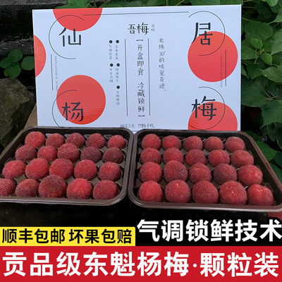 贡品级送礼正宗仙居杨梅东魁杨梅新鲜礼盒精品水果大现摘40颗粒装