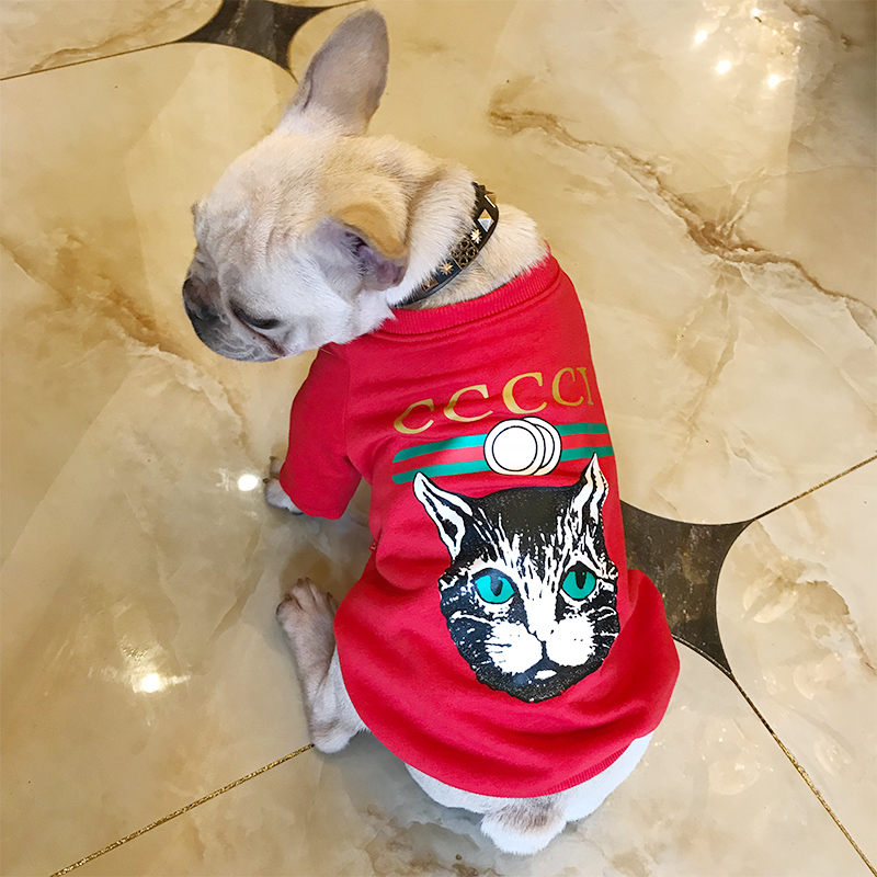 狗狗衣服春裝薄款鬥牛巴哥潮牌泰迪比熊可愛小型犬兩腿棉夏季寵物在類目 寵物/寵物食品及用品, 寵物服飾及配件, 寵物服裝/雨衣中 - 來自Buy2taobao.com提供專業的淘寶代購服務