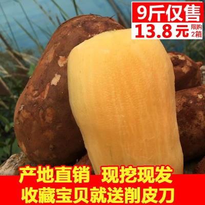 现挖云南天山红沙泥雪莲果黄心9斤特产清甜孕妇水果新鲜时令水果