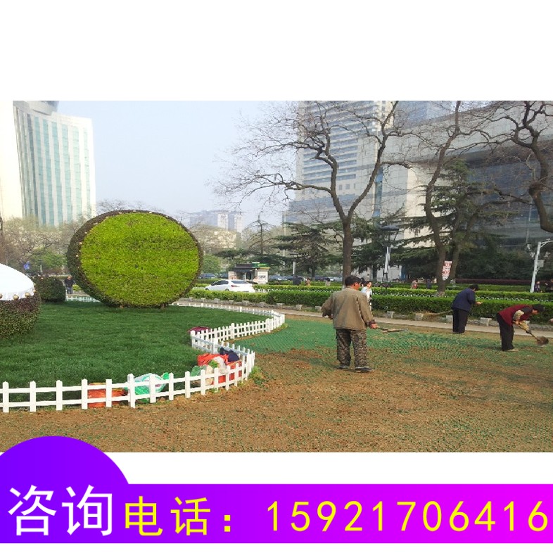 停車場位消防車道斜坡綠化塑料植草格草坪格 植草磚草坪磚植草板在類目 鮮花速遞/花卉仿真/綠植園藝, 園藝用品, 其它園藝用品中 - 來自Buy2taobao.com提供專業的淘寶代購服務