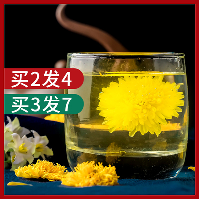 婺源皇菊菊花茶大黄菊黄山贡菊胎菊花花茶非金丝搭枸杞玫瑰花茶叶