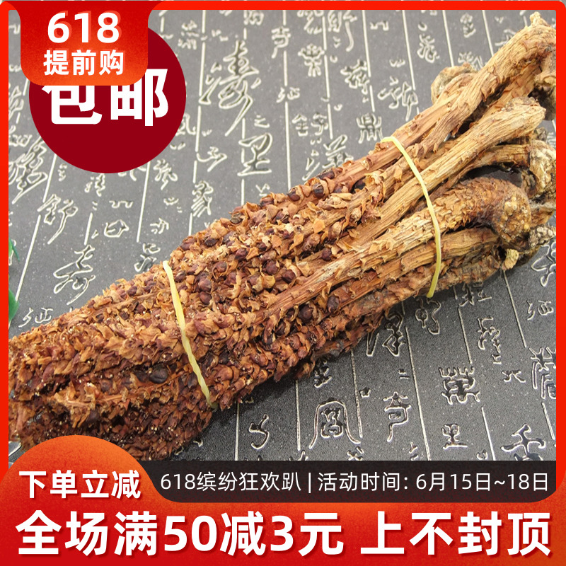 Daxinganling Bu Laocao wild Boschniakia Paojiu material Chinese herbal medicines Broomrape wild Corn Make teain the Traditional nourishing food , Other traditional tonic , Bu Laocao category - from Buy2taobao.com to provide professional Taobao agent buy service