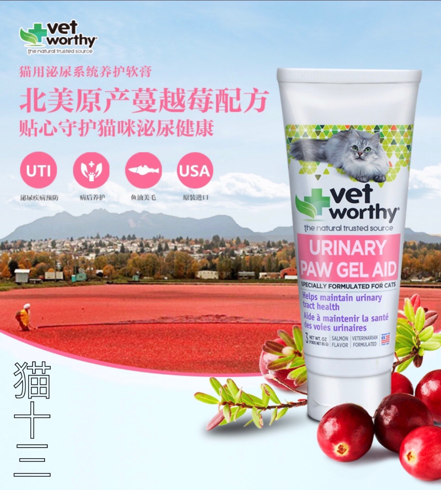 猫十三 Vet worthy 美国vetworthy营养膏85g维护泌尿系统在类目 宠物/宠物食品及用品, 猫/狗保健品中 - 来自Buy2taobao.com提供专业的淘宝代购服务
