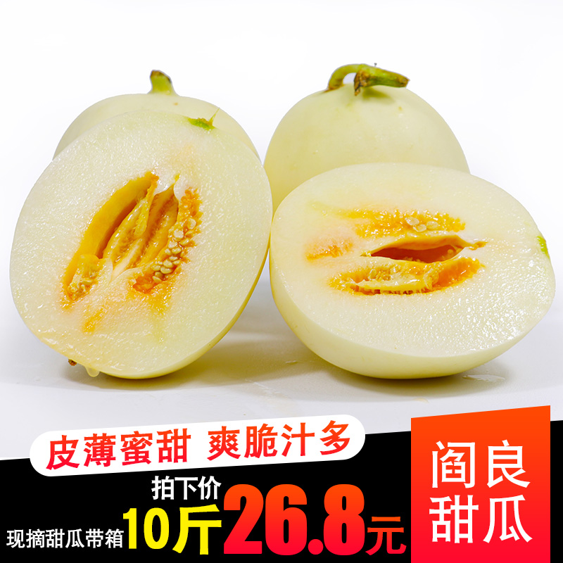 现货甜瓜新鲜带箱10斤当季水果蜜瓜包邮应季时令生鲜香瓜阎良白瓜|msdalam kategori daging perikanan/Buah-buahan segar dan sayur-sayuran/dimasak, buah-buahan segar, 甜瓜 - dari Buy2taobao.com untuk memberikan perkhidmatan ejen Taobao profesional membeli