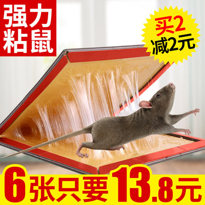 粘鼠板超强力驱老鼠贴灭鼠抓老鼠夹药捕鼠器黏老鼠胶沾鼠神器家用
