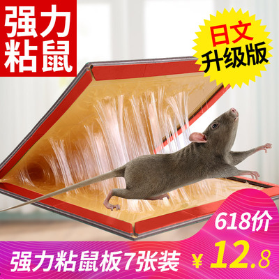 粘鼠板超强力驱老鼠贴灭鼠抓老鼠夹药捕鼠器黏老鼠胶沾鼠神器家用