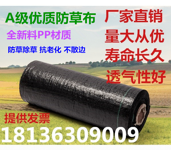 Manufactor Direct selling Weed ageing gardening Ground cloth greenhouse Orchard Weed Meadowin the Flower delivery/Flowers simulation/Plants gardening , Gardening supplies , Other Garden Supplies category - from Buy2taobao.com to provide professional Taobao agent buy service