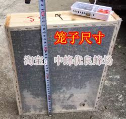 中蜂土蜂中蜂群蜜蜂群种王种群笼蜂活体中华蜂箱蜂中蜂群5000只在类目 宠物/宠物食品及用品, 其它宠物, 其它宠物中 - 来自Buy2taobao.com提供专业的淘宝代购服务