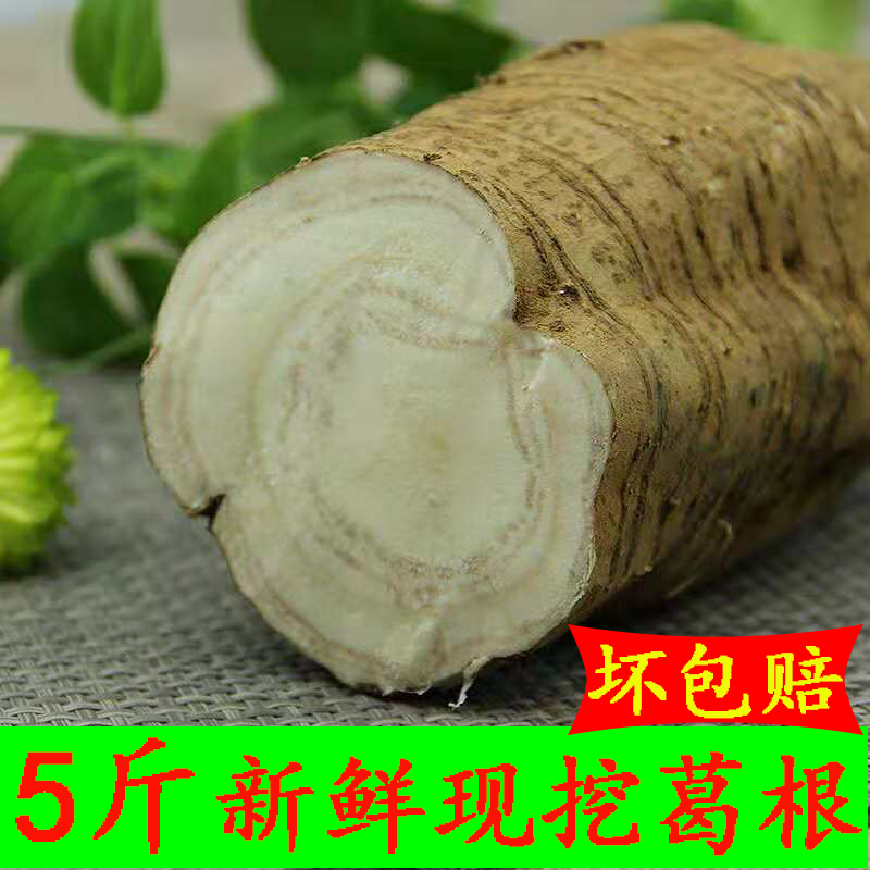 云南特产新鲜葛根野生现挖无渣葛根新鲜蔬菜水果在类目 水产肉类/新鲜蔬果/熟食, 新鲜蔬菜/蔬菜制品, 新鲜蔬菜, 其它中 - 来自Buy2taobao.com提供专业的淘宝代购服务