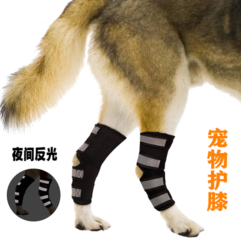 狗狗反光护膝护腿宠物夜光保护关节护套犬类腿部护理矫正保护支撑|ruв категории животное/Животное питание и принадлежностей, одежды и аксессуаров для домашних животных, носки - от Buy2taobao.com для оказания профессиональной услуги покупки агента Taobao