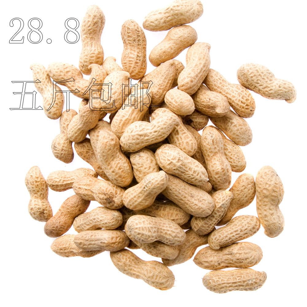 【预售】17年生花生新货带壳粉红皮鲜生花生农家自然晒干山地花生
