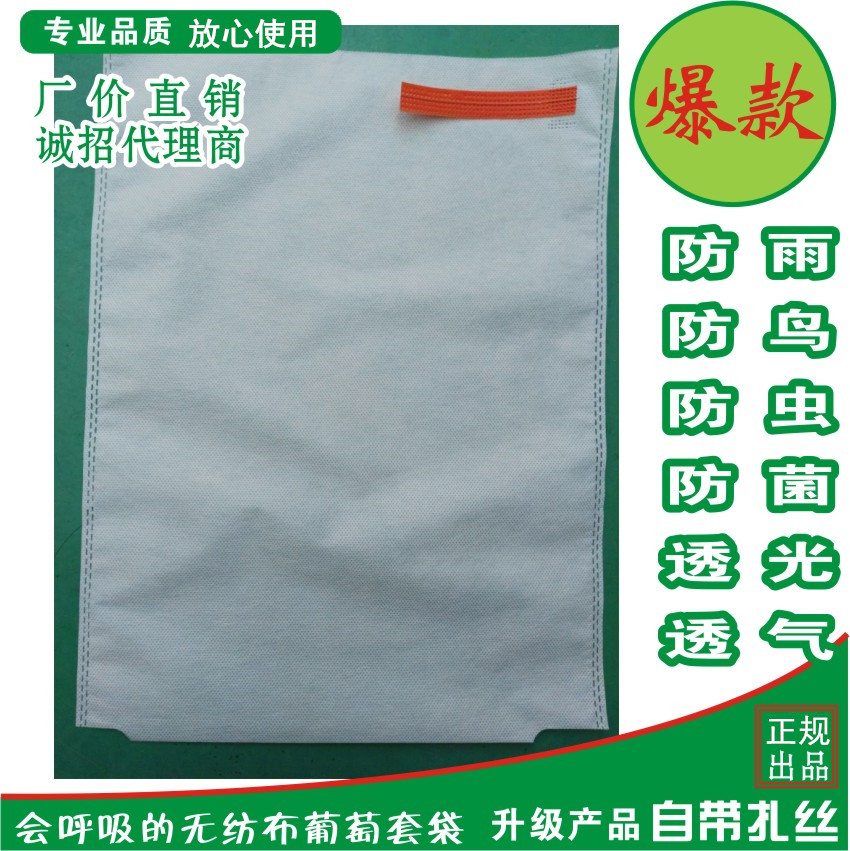 无纺布葡萄套袋水果套袋葡萄袋防虫防鸟防水透气袋无纺布布袋在类目 鲜花速递/花卉仿真/绿植园艺, 园艺用品, 其它园艺用品中 - 来自Buy2taobao.com提供专业的淘宝代购服务